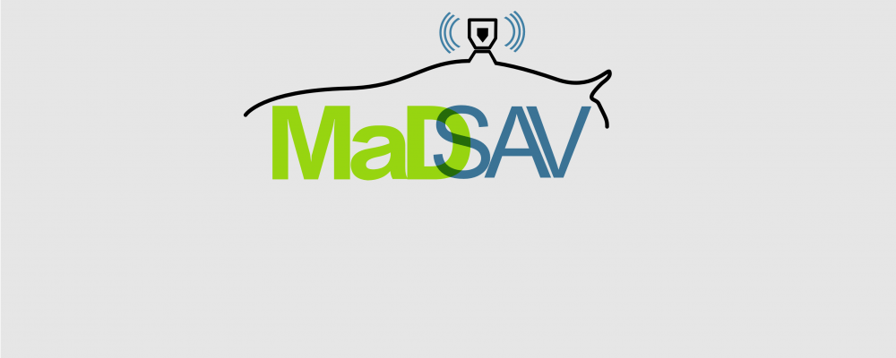 Logo of the MaDSAV project